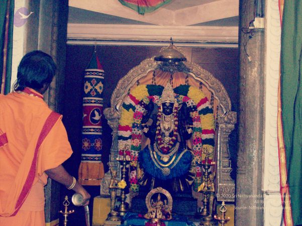 20070101 Photo 403 1MbR8MBc9fUzpTw1a994y3jXrm7y4P o6.jpg