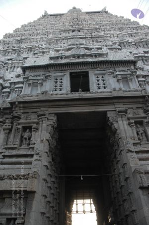 20070112 6248 CMP WM.jpg