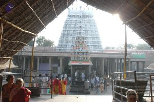 20070112 6347 CMP WM.jpg