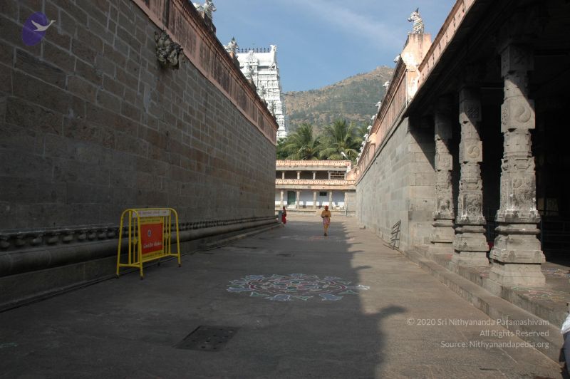 File:20070112 6396 CMP WM.jpg