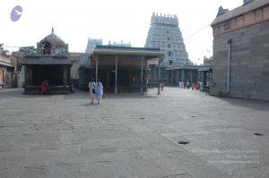 20070112 6418 CMP WM.jpg