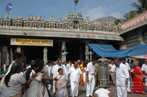 20070112 6473 CMP WM.jpg