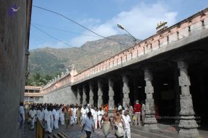 20070112 6558 CMP WM.jpg