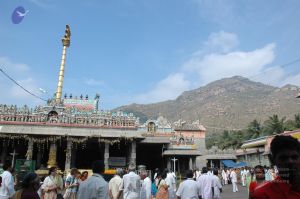 20070112 6568 CMP WM.jpg