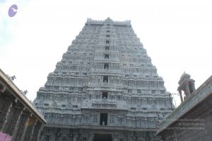 20070112 6604 CMP WM.jpg