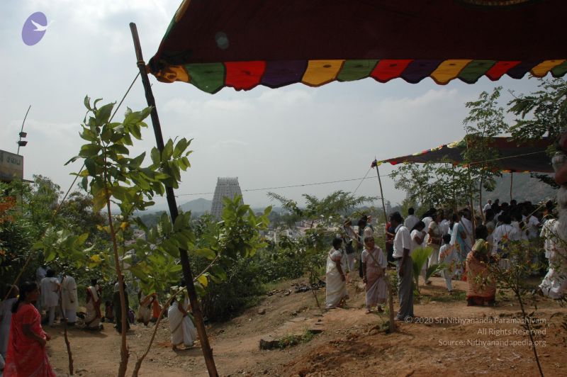 File:20070112 6896 CMP WM.jpg