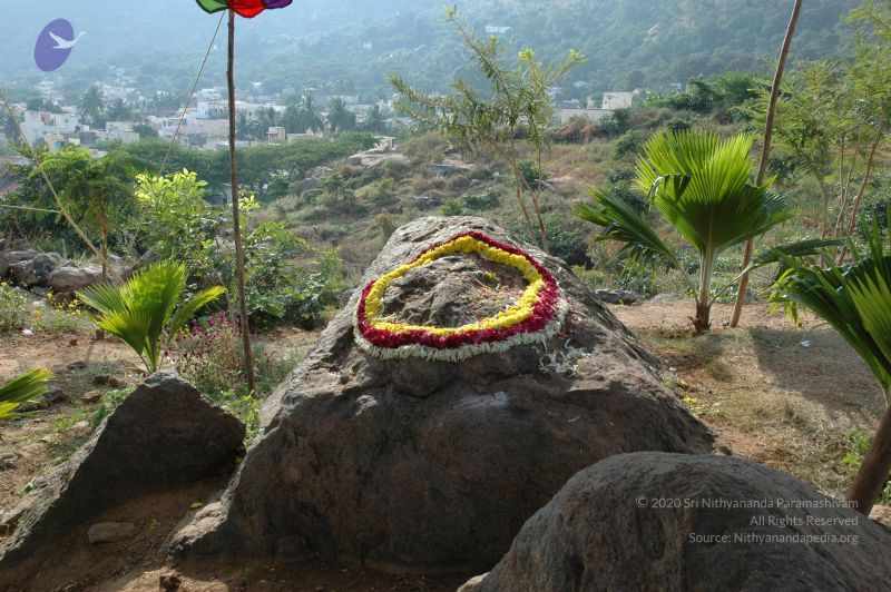 File:20070112 7501 CMP WM.jpg