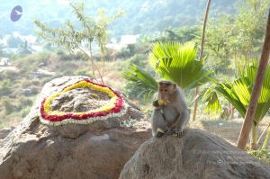 20070112 7516 CMP WM.jpg