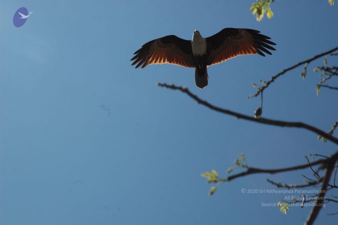 20070202 Photo 1042 1u-7At4WQnu7q0o4Hvhqqtq8upozQZwzz.JPG