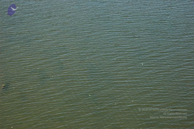 20070202 Photo 2176 1ljJqgRScx3fF0iycJrLak7g9siuWV6Tw.JPG