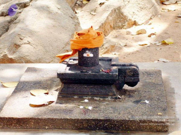 20070205 DSC01632 CMP WM.jpg