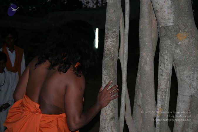 20070214 Photo 1322 1EfxOGPPIJzW84Eee6BguzJUszrB27tUF.JPG