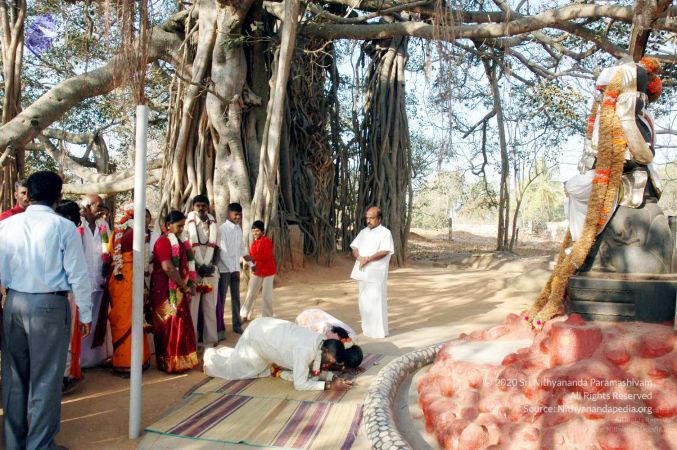 20070215DSC 7696 CMP WM00100.jpg