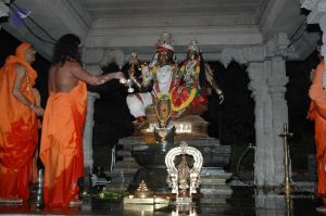 20070216 Photo 1010 1caFjErseZKvEecZy-oMMLLW5AWmchLh5.JPG