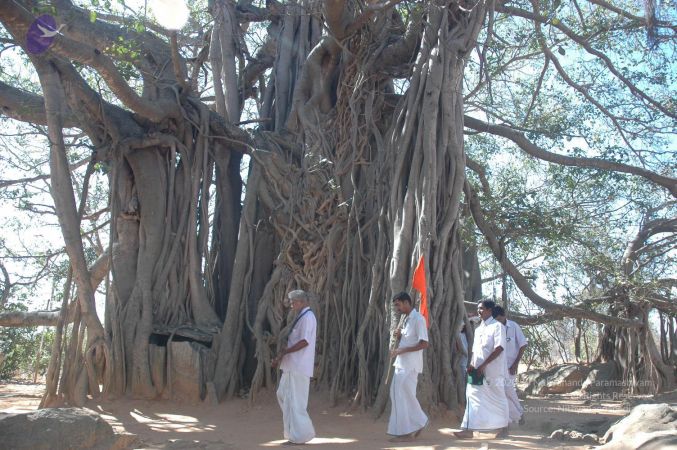 20070224 Photo 2225 1nDpHGiVNQBiWi50UpWNyJhSSwpk 611r.JPG