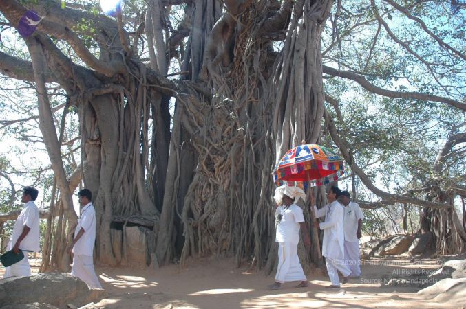 20070224 Photo 2231 1BNBa73Tjxfpb1q8o7SDGuxInwNEGrpmY.JPG