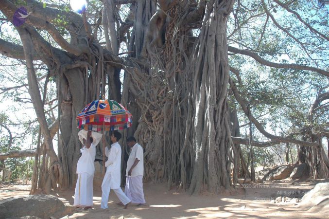 20070224 Photo 2235 1gGlWgJbYiXwP315JstdZYR3qFzXqJAC2.JPG