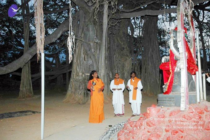 20070225 DSC 6566 CMP WM01.jpg