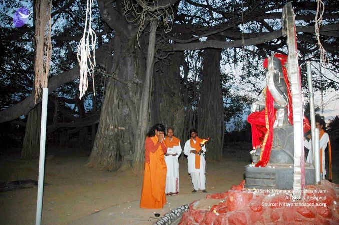 20070225 DSC 6573 CMP WM01.jpg