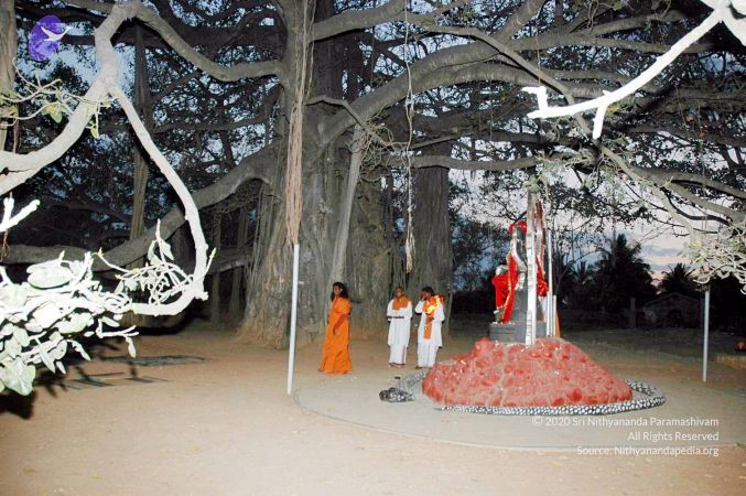 20070225 DSC 6575 CMP WM01.jpg