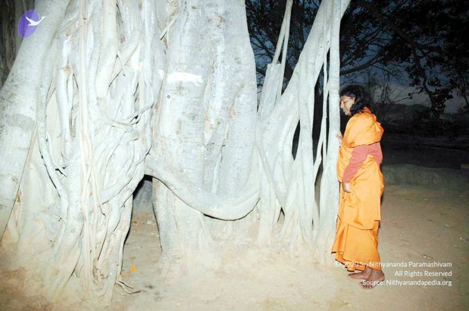 20070225 DSC 6577 CMP WM01.jpg