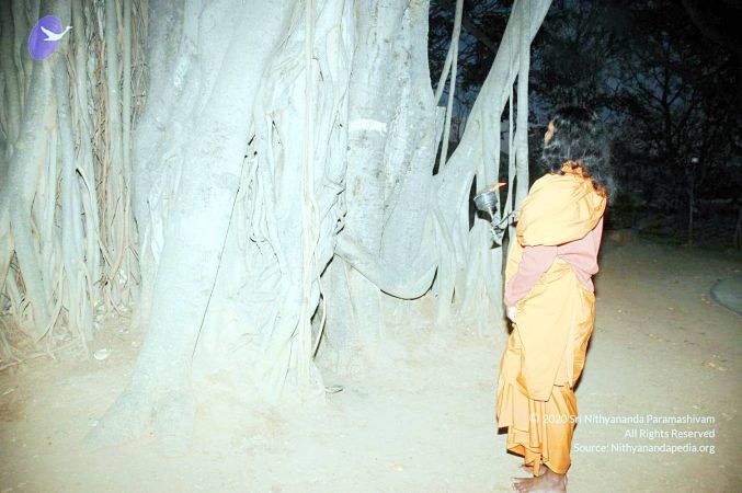 20070225 DSC 6579 CMP WM01.jpg