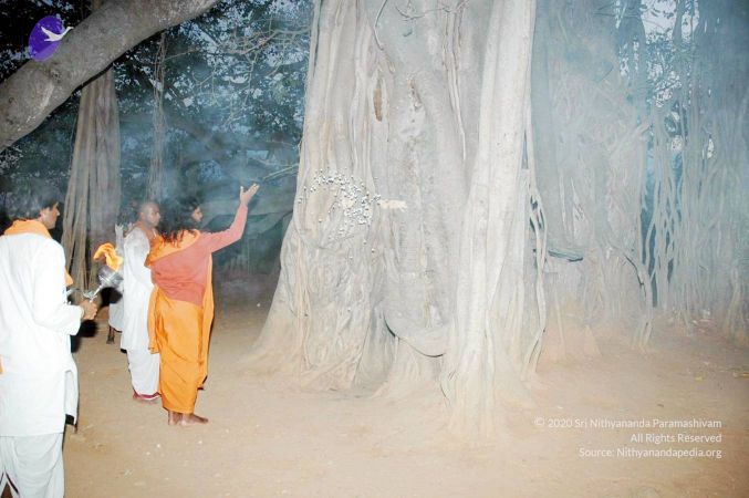 20070225 DSC 6581 CMP WM01.jpg