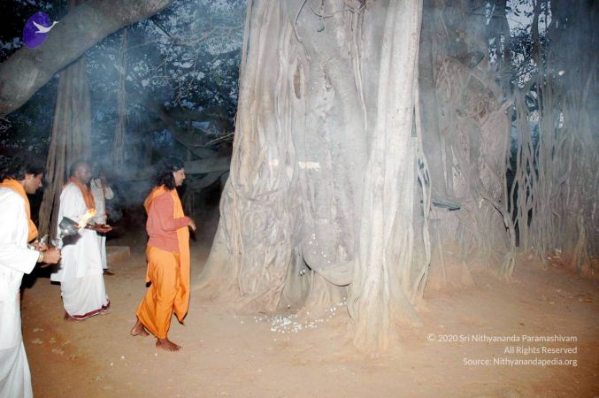 20070225 DSC 6582 CMP WM01.jpg