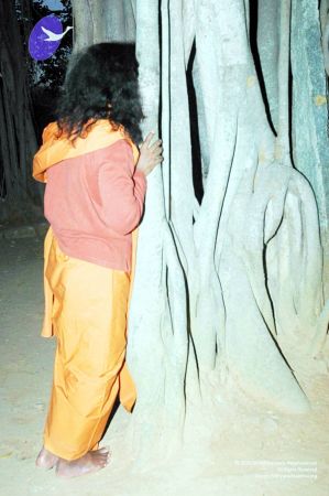 20070225 DSC 6586 CMP WM01.jpg