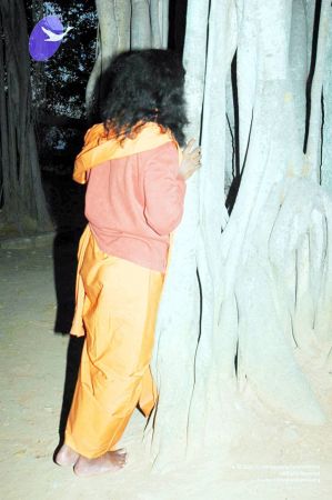 20070225 DSC 6587 CMP WM01.jpg