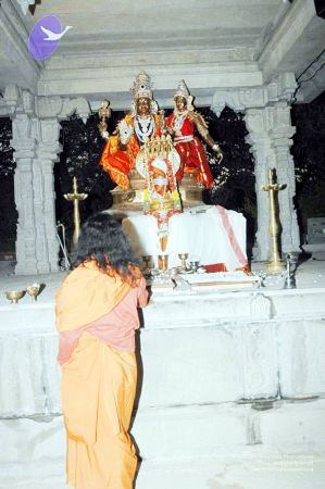 20070225 DSC 6606 CMP WM01.jpg