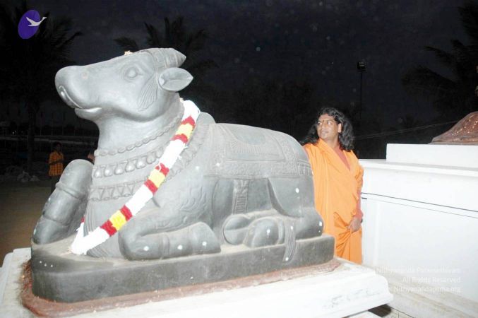 20070225 DSC 6633 CMP WM01.jpg