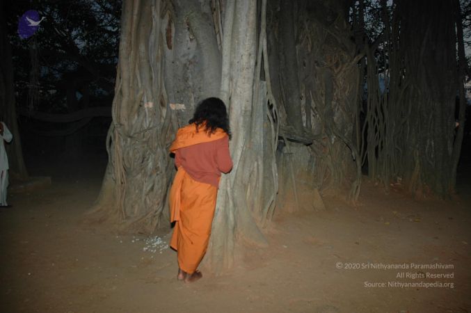 20070225 Photo 1036 113vJHXAFA9auqIWoxF1PFwrNHxz7Dc7j.JPG