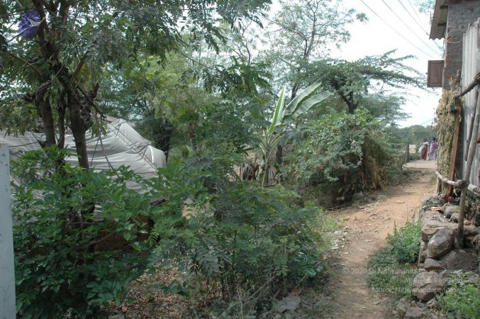 20070303 Photo 1141 10T5YOj0iWz7akQ0tG4R2IVhZ6EhXuBWi.JPG