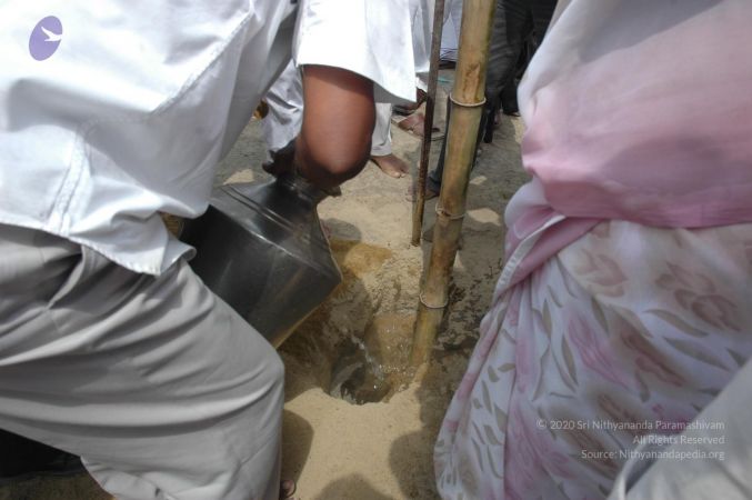 20070303 Photo 1202 1VPc3ew0bmfFtRLPgUtXfIB- 2LrfU5AR.JPG