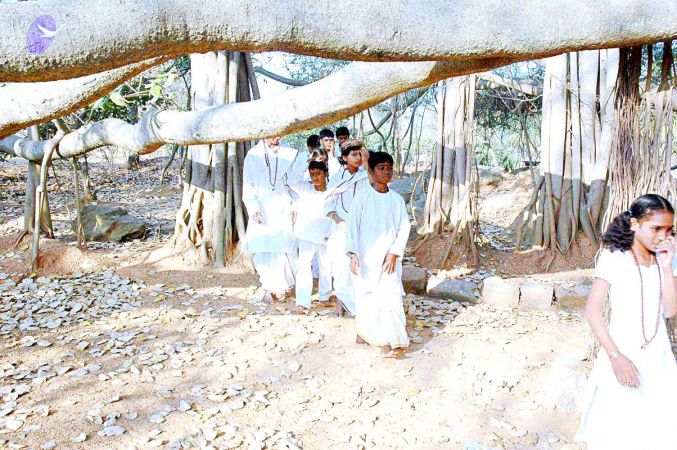 20070306 Photo 370 1oyCt8FkrofYeIPy qn pYklj0uutA3N .jpg