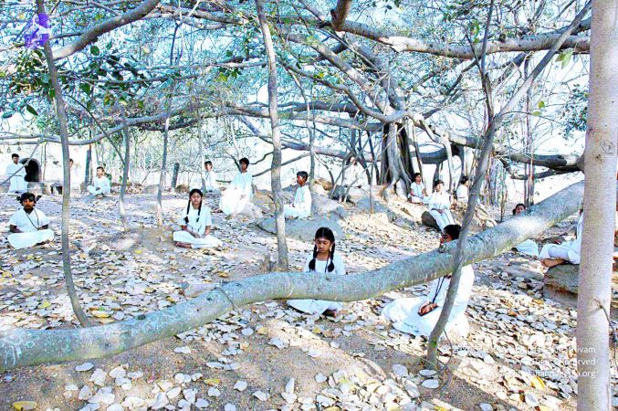 20070306 Photo 379 1RO0JSCq2sg1gAecf7VCIwqGqnM6Ui3Si.jpg