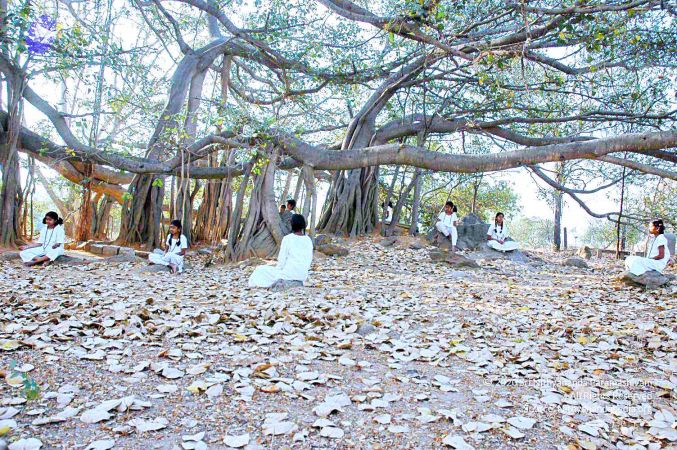 20070306 Photo 383 12UZa0tREthNO-7MtqW2EscaNhaDTgASf.jpg