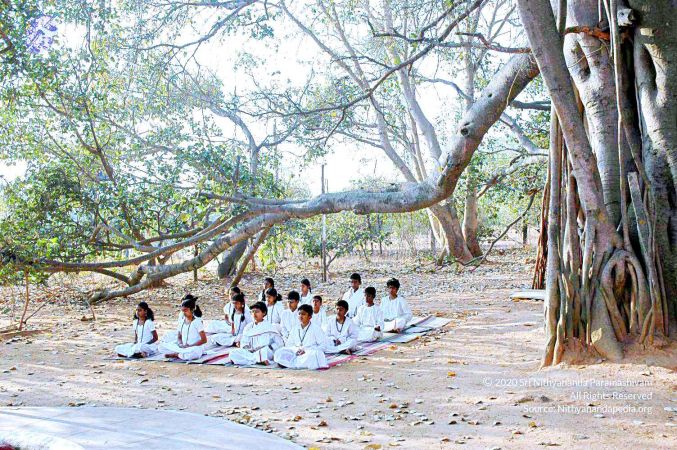 20070306 Photo 396 1Lga7nkbQSKGi9YuVHOUuyPLkIoZ5rMbI.jpg