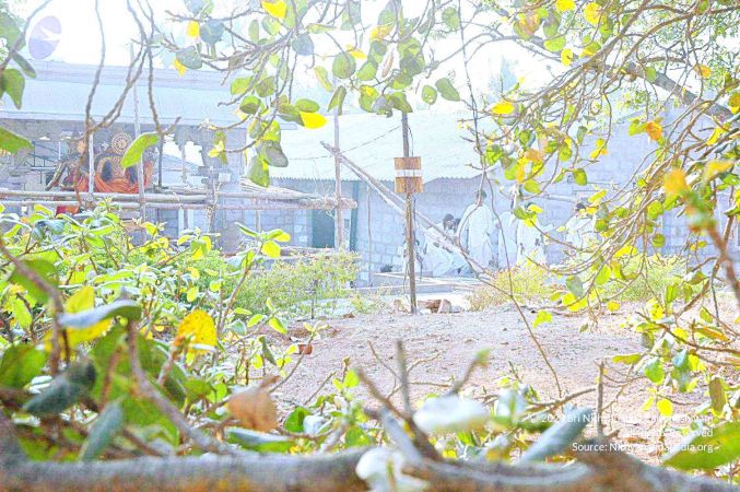 20070306 Photo 415 1EzU47uxNCSI9gBXujPraPwS2Pi7F2liS.jpg