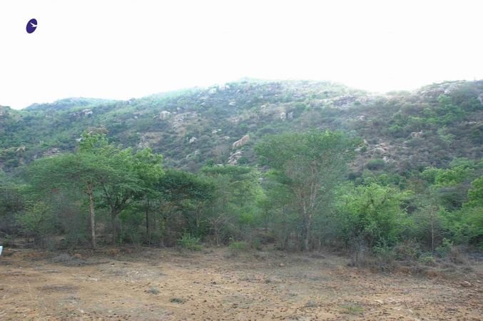 20070509 NUCourses Traditional Udal Kattumurthi 6688.jpg