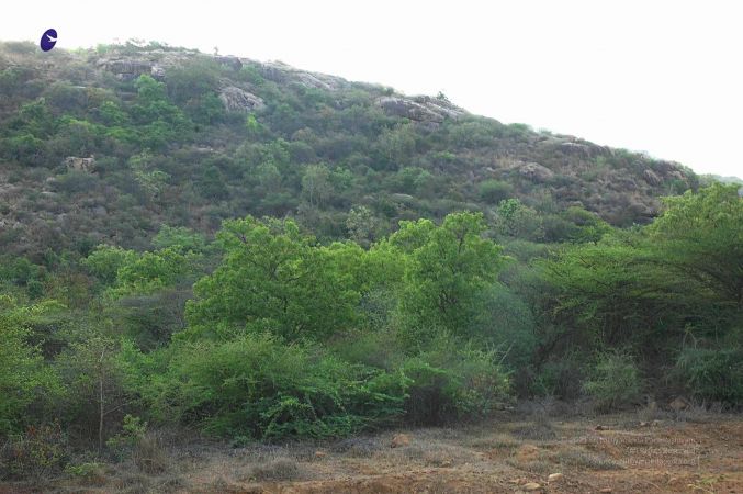 20070509 NUCourses Traditional Udal Kattumurthi 6690.jpg