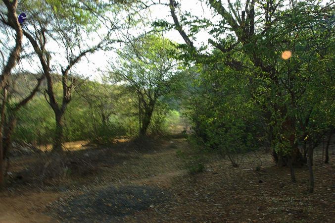 20070509 NUCourses Traditional Udal Kattumurthi 6717.jpg