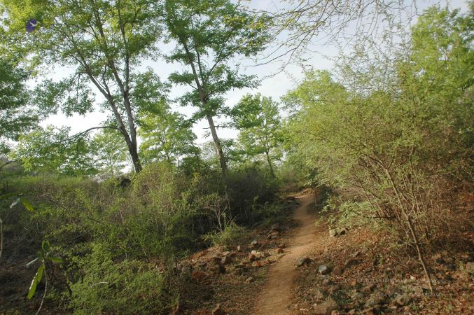 20070509 NUCourses Traditional Udal Kattumurthi 6741.jpg