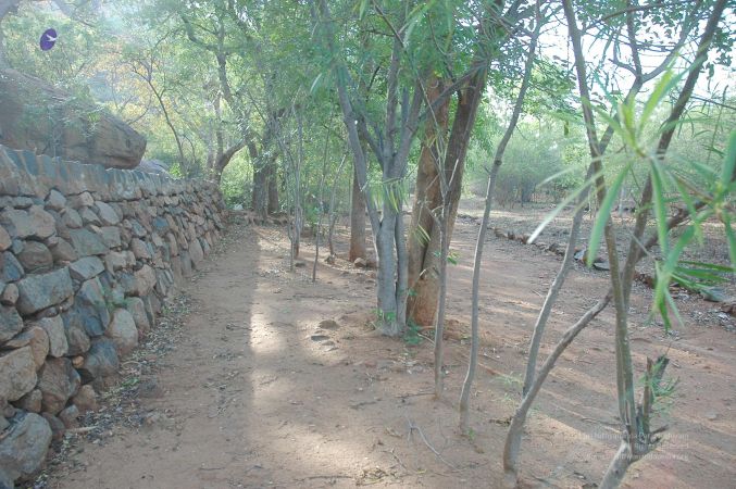 20070509 NUCourses Traditional Udal Kattumurthi 6762.jpg