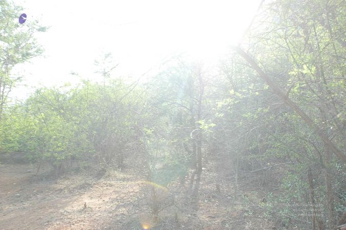 20070509 NUCourses Traditional Udal Kattumurthi 6793.jpg