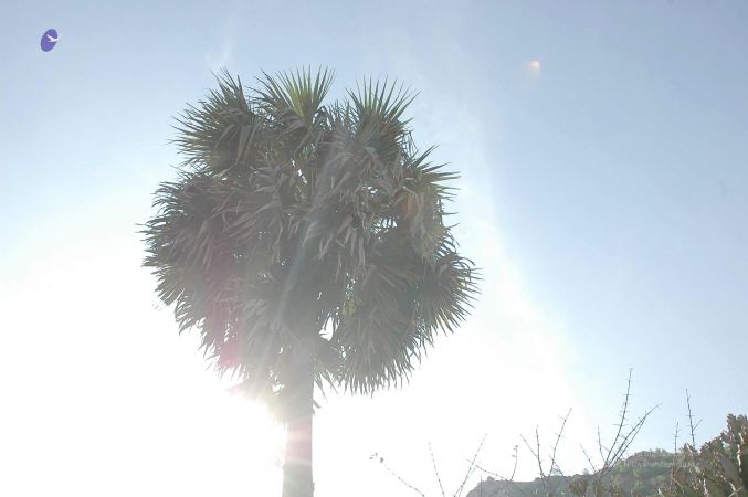 20070509 NUCourses Traditional Udal Kattumurthi 6828.jpg