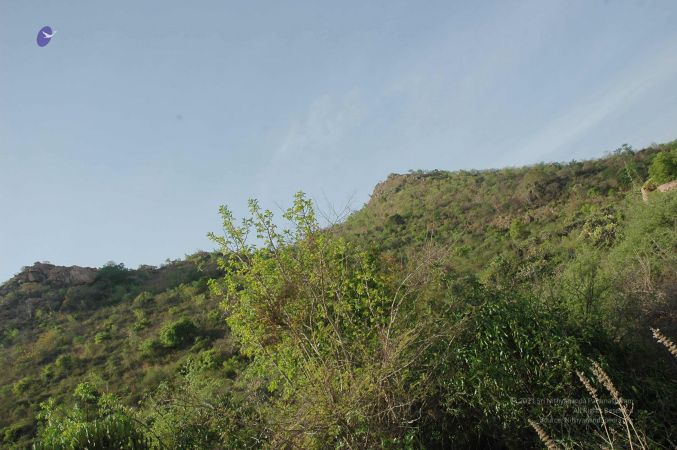 20070509 NUCourses Traditional Udal Kattumurthi 6854.jpg