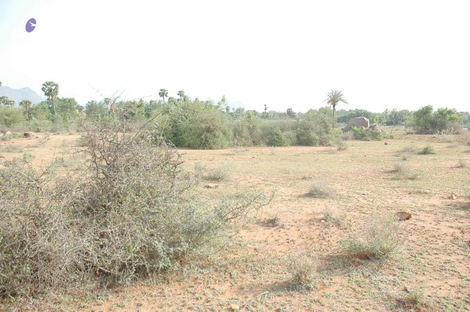 20070509 NUCourses Traditional Udal Kattumurthi 6913.jpg