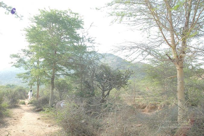 20070509 NUCourses Traditional Udal Kattumurthi 6947.jpg